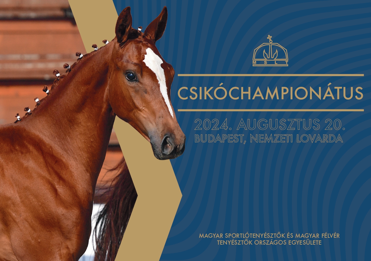 Csikóchampionátus Katalógus 2024