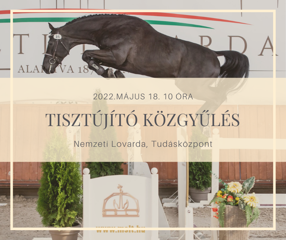 2022. évi MSLT Tisztújító Közgyűlés