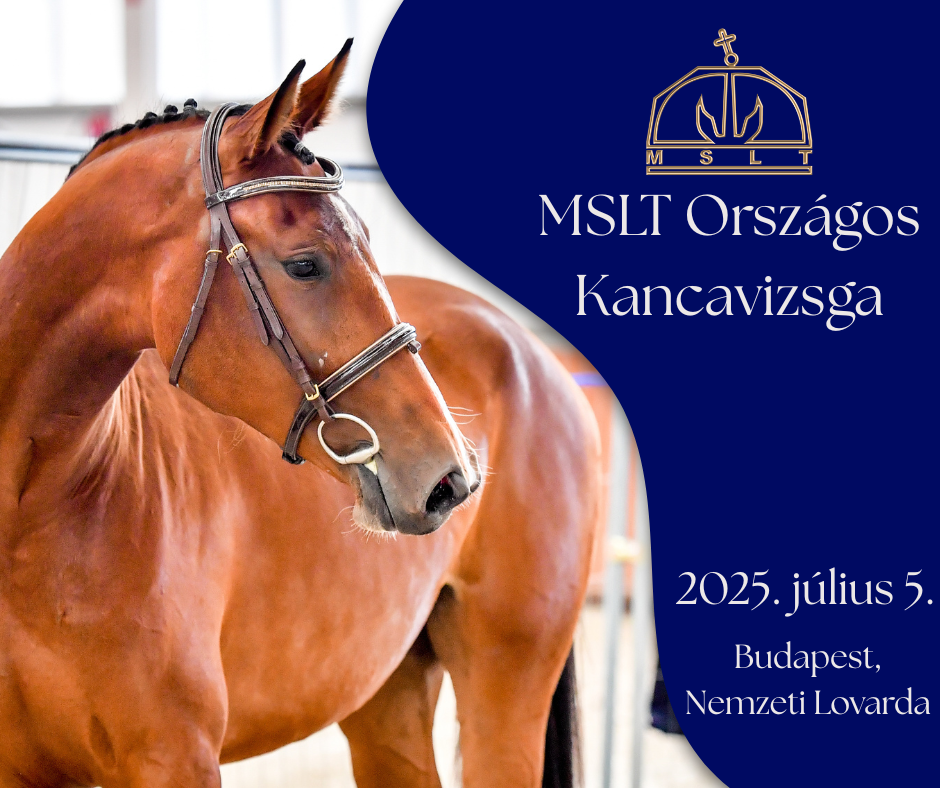 Kancavizsga 2025