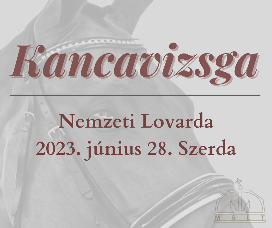 Kancavizsga 2023
