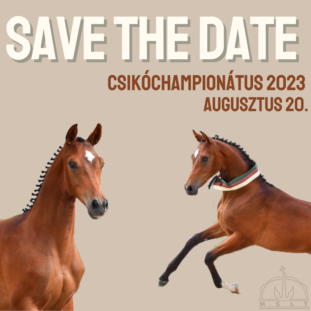 Csikóchampionátus 2023 – Katalógus