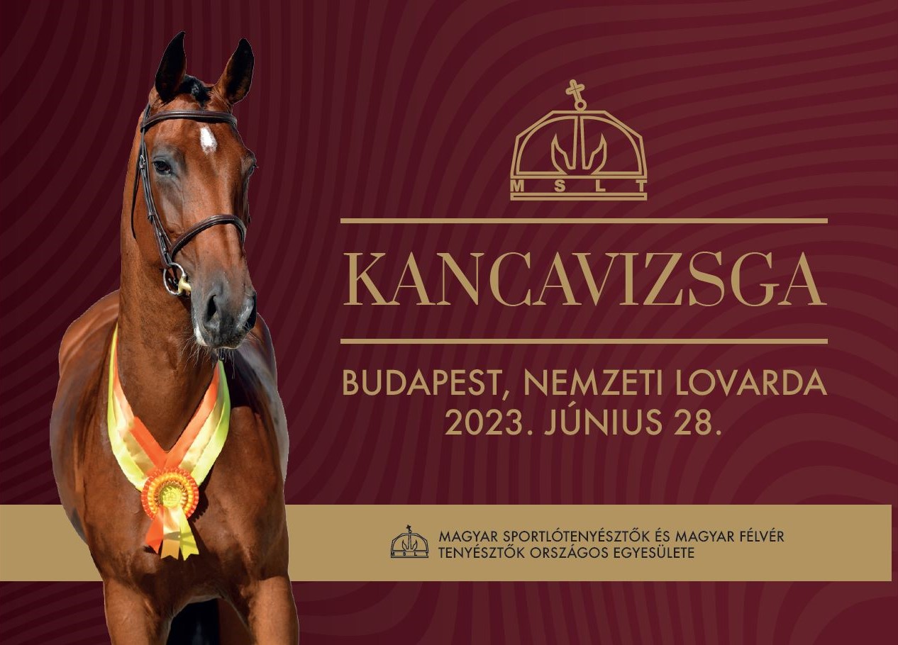Kancavizsga katalógus 2023