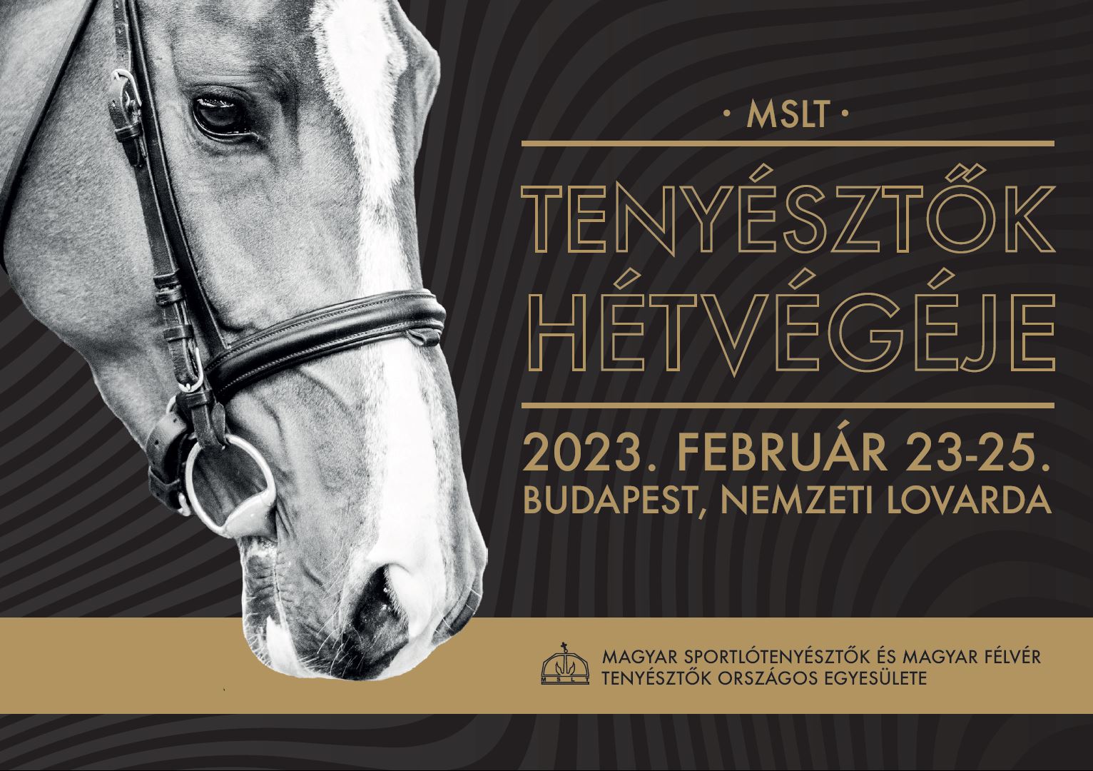 MSLT Tenyésztők Hétvégéje- Katalógus