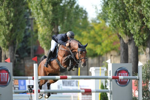 Cinnamon-lq