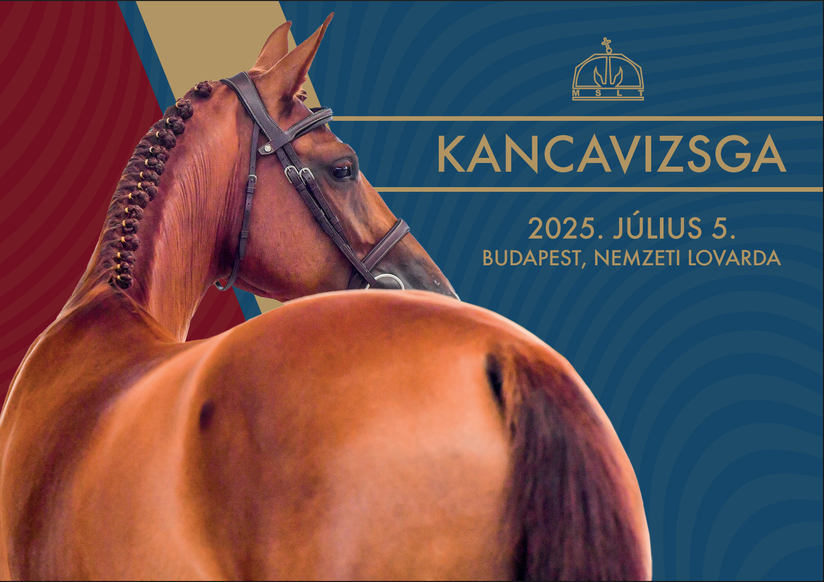 Kancavizsga katalógus 2025