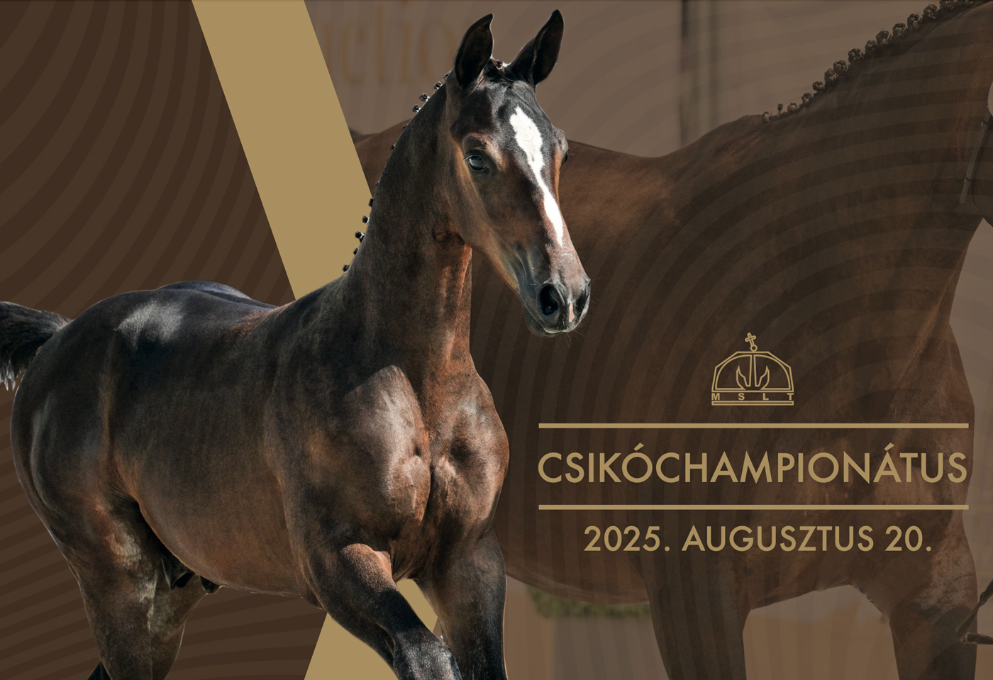Csikóchampionátus Katalógus 2025