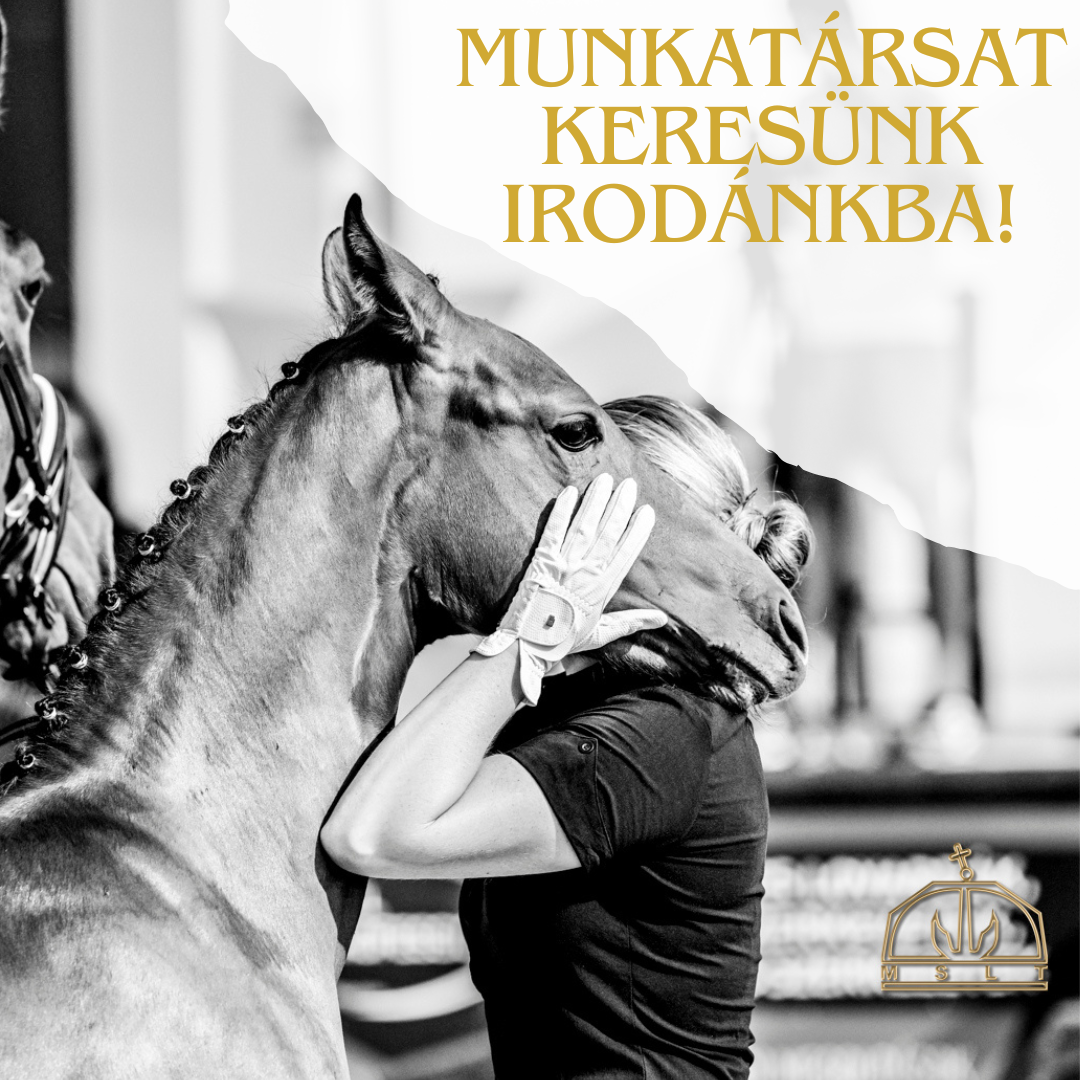 Bővítjük a csapatunkat!