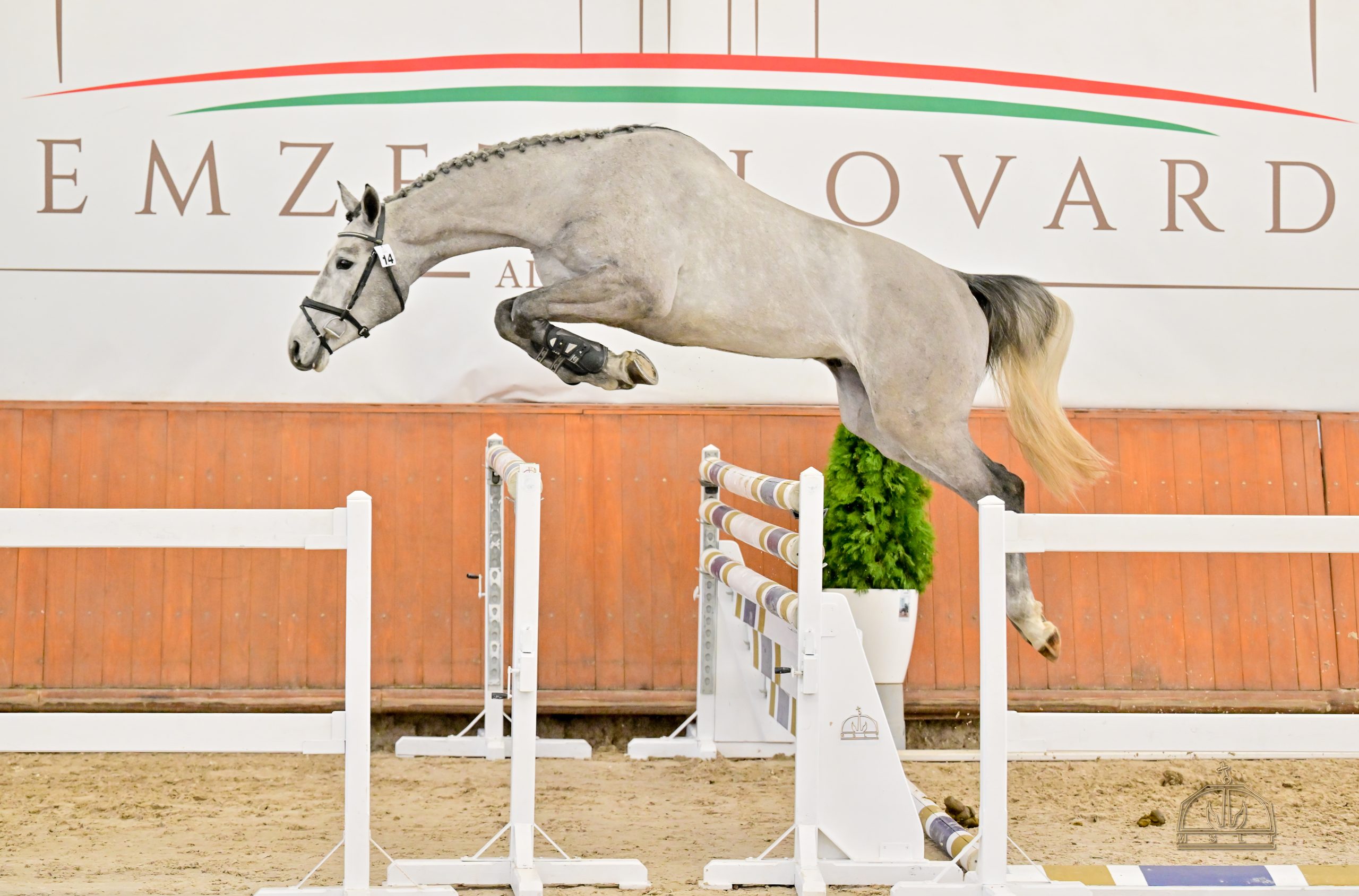 Ménvizsga 2026 Eredmény