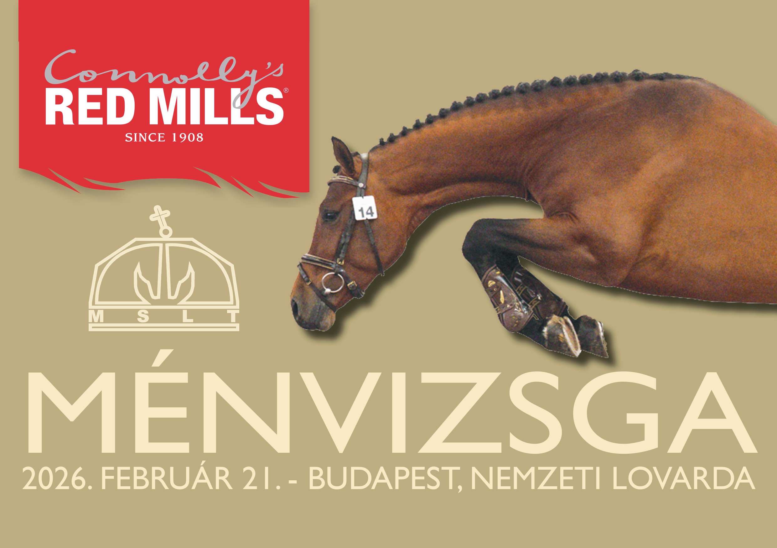 Ménvizsga 2026 Katalógus