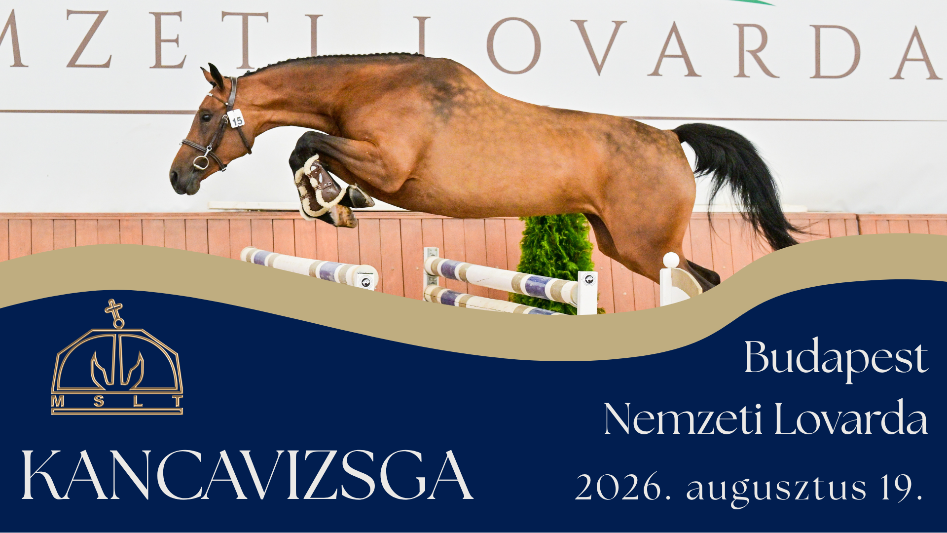Kancavizsga 2026