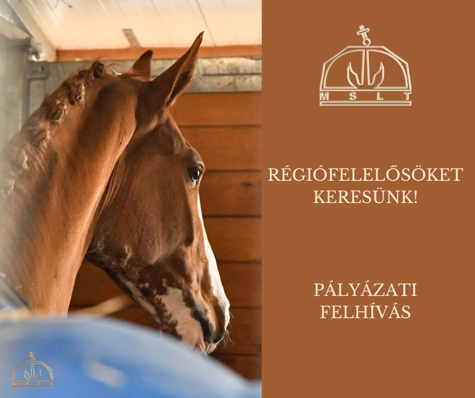Pályázati felhívás – Régiófelelősöket keresünk