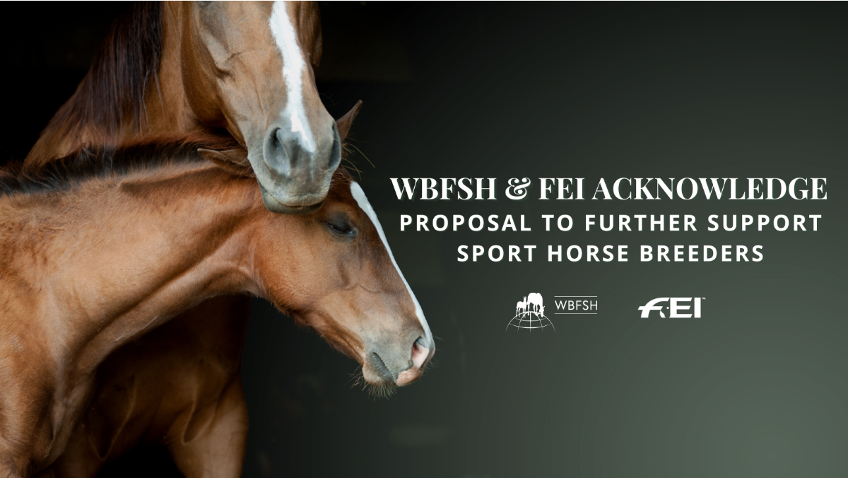 A FEI és a WBFSH elfogadja a sportlótenyésztők jövőbeli támogatására irányuló javaslatot