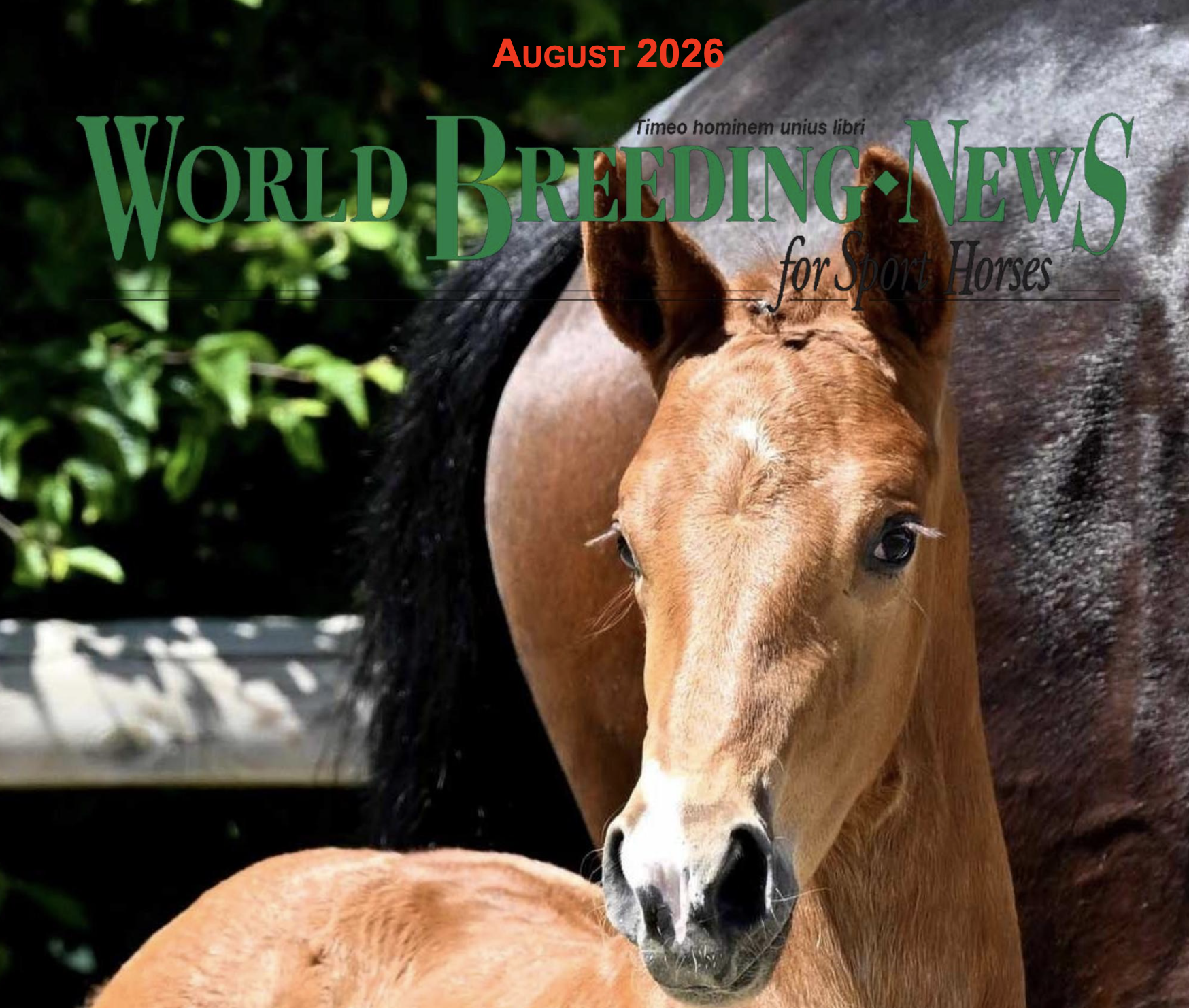 Megjelent a WBFSH Breeding News augusztusi száma